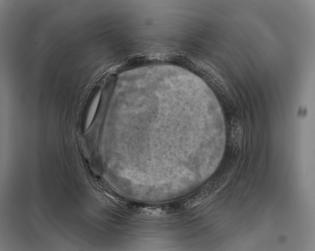 X0000097610502200803281017