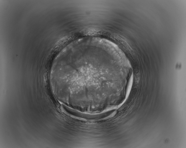 X0000097610503200803281017