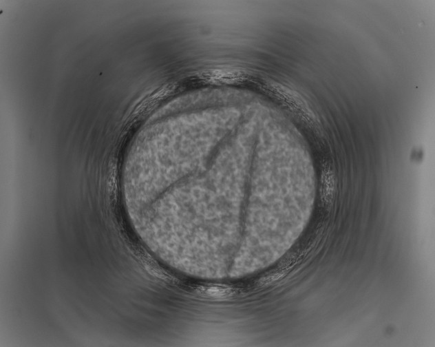 X0000097610506200803281017