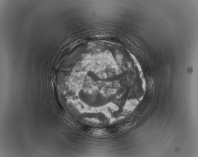 X0000097610507200803281017