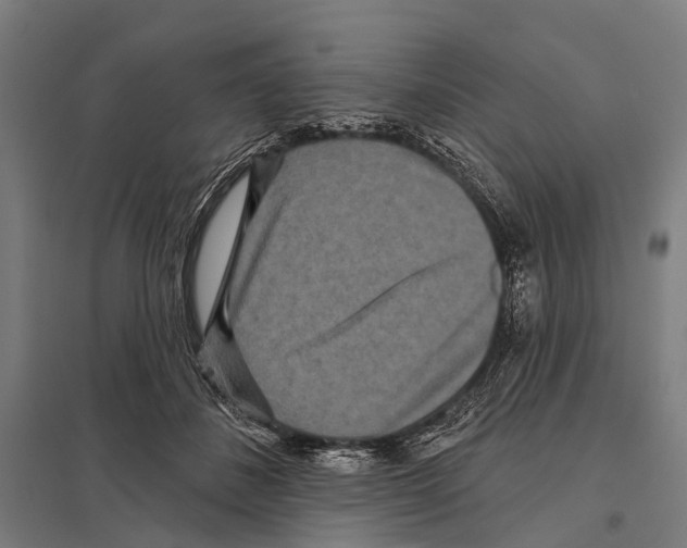 X0000097610508200803281017