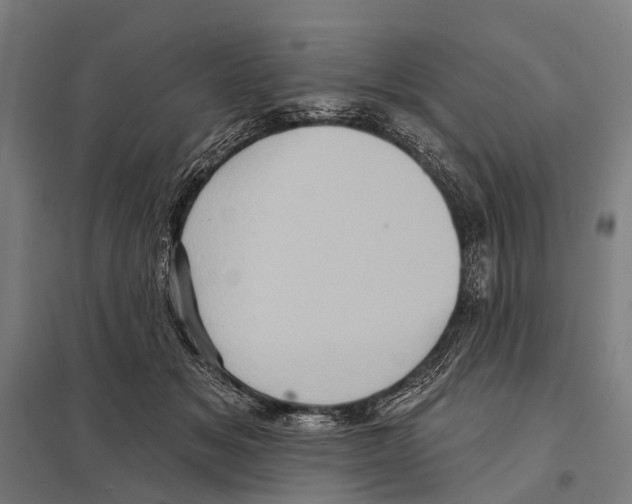 X0000097610509200803281017