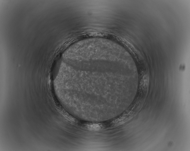 X0000097610513200803281017