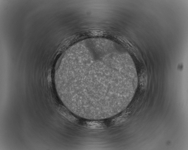 X0000097610516200803281017