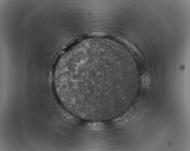 X0000097610517200803281017