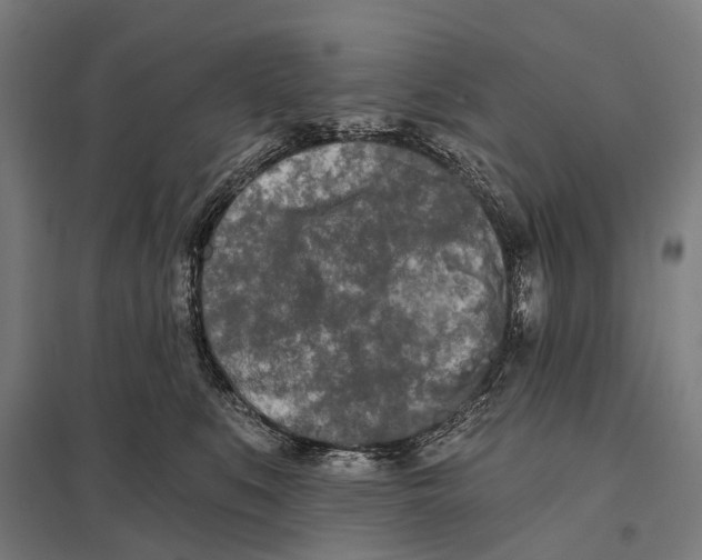 X0000097610519200803281016