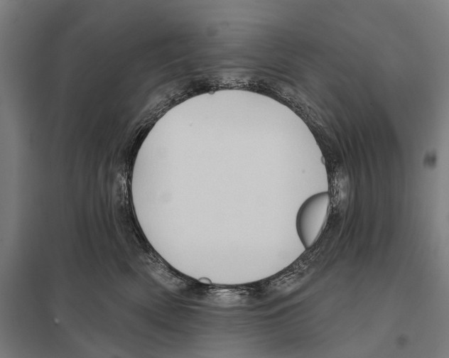 X0000097610522200803281016