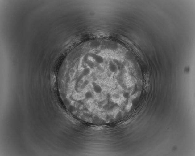 X0000097610523200803281016