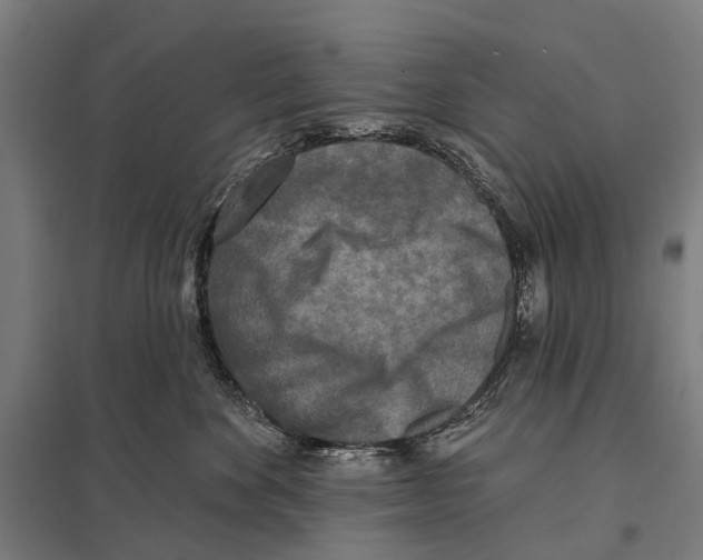 X0000097610524200803281016