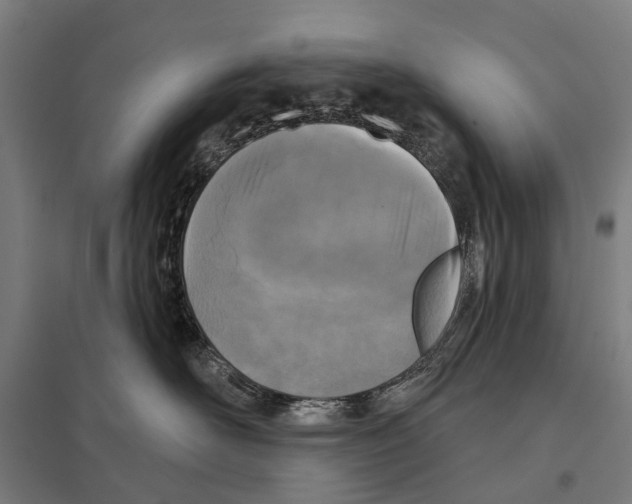 X0000097610526200803281016