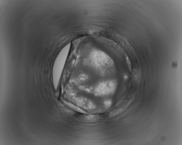 X0000097610527200803281016