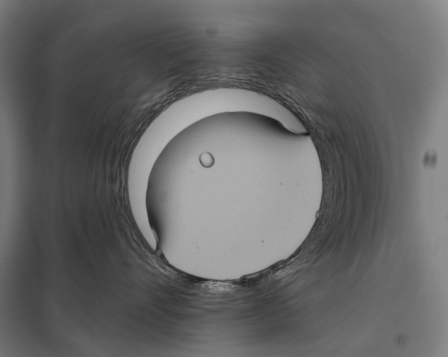 X0000097610528200803281016