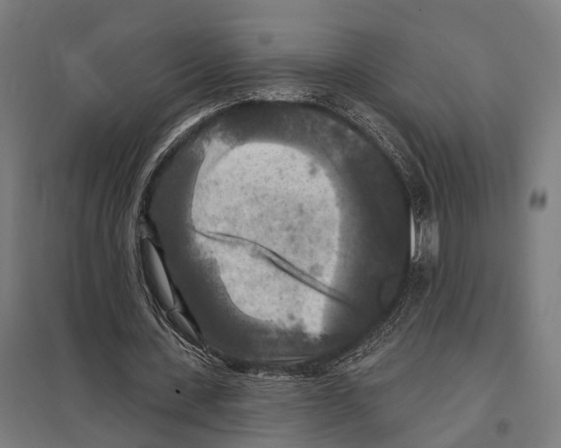 X0000097610531200803281016