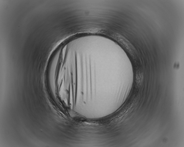 X0000097610532200803281016