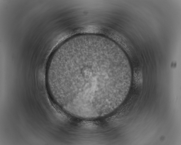 X0000097610534200803281016