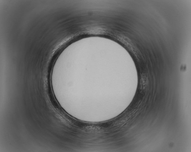 X0000097610535200803281016