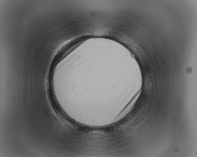 X0000097610536200803281016