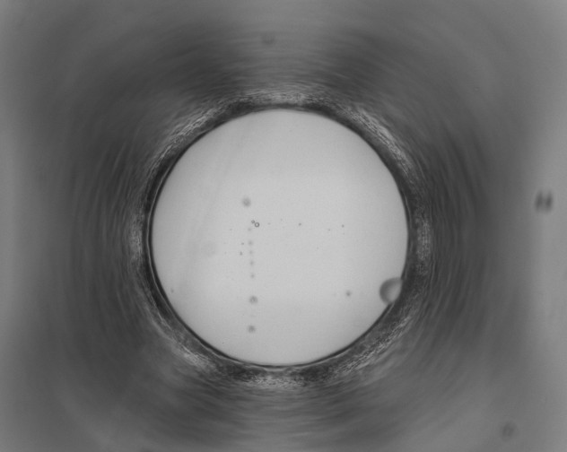 X0000097610537200803281016