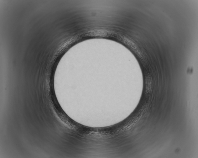 X0000097610538200803281016