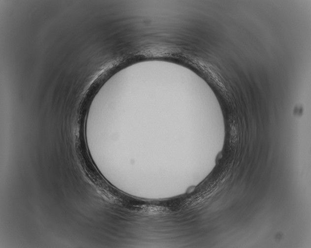 X0000097610539200803281016