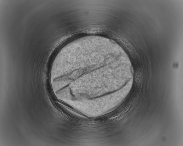 X0000097610540200803281016