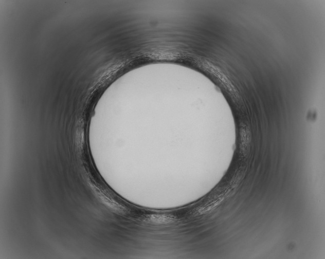 X0000097610541200803281016