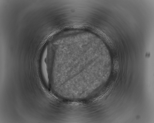 X0000097610542200803281016