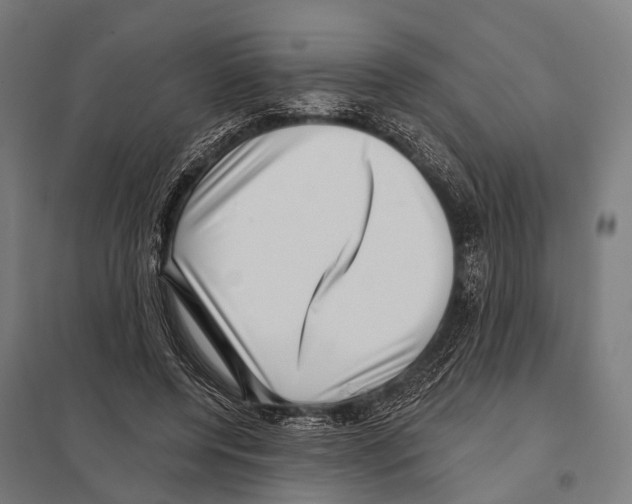 X0000097610544200803281016