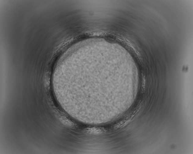 X0000097610545200803281016