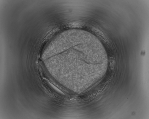 X0000097610550200803281016