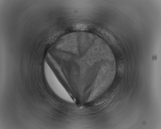 X0000097610551200803281016