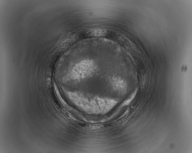 X0000097610553200803281016