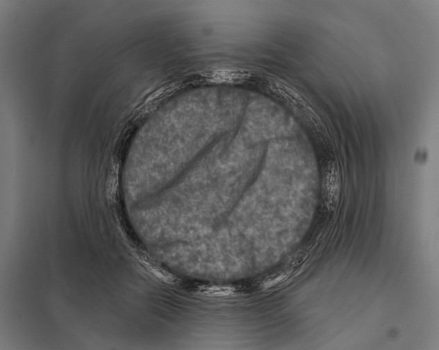 X0000097610554200803281016