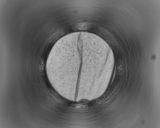 X0000097610555200803281016