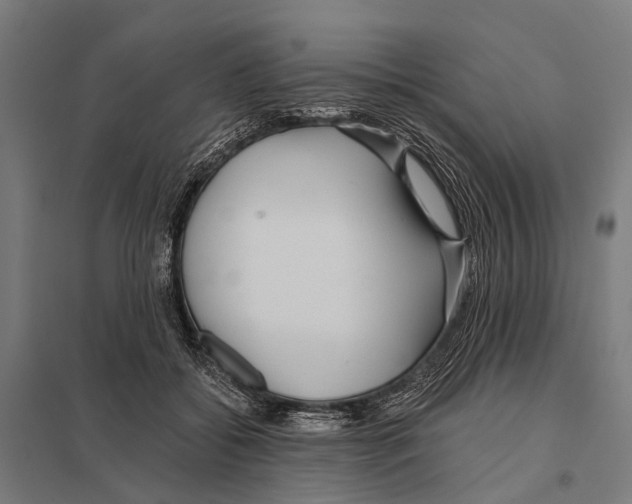 X0000097610556200803281016