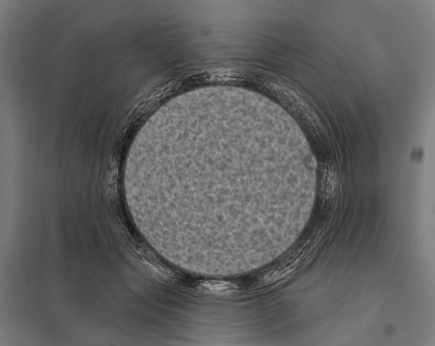 X0000097610557200803281016