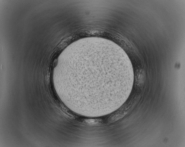 X0000097610558200803281016