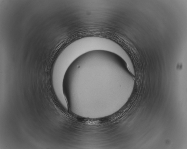 X0000097610560200803281016