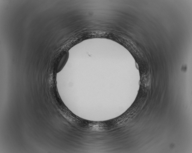 X0000097610564200803281016