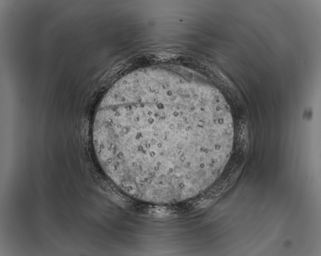 X0000097610565200803281016