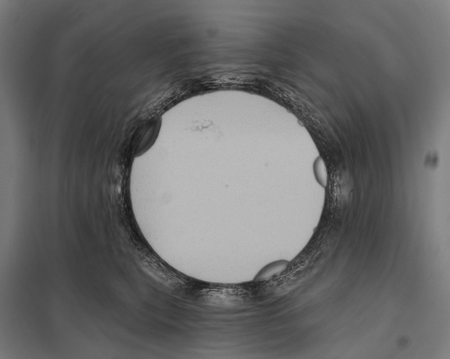 X0000097610567200803281016