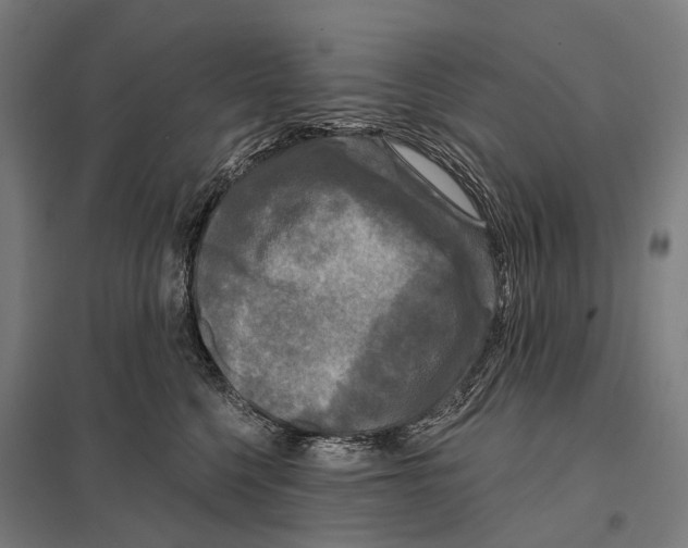 X0000097610568200803281016