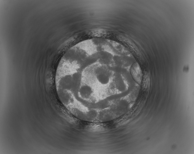 X0000097610569200803281016