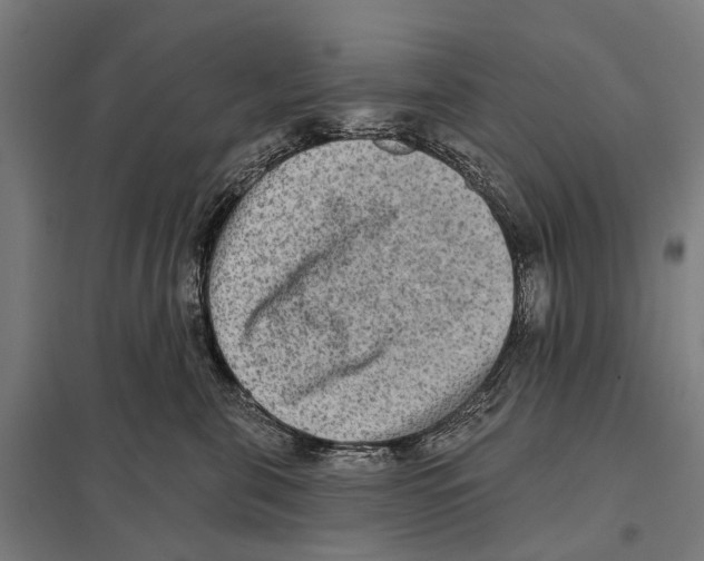 X0000097610571200803281016