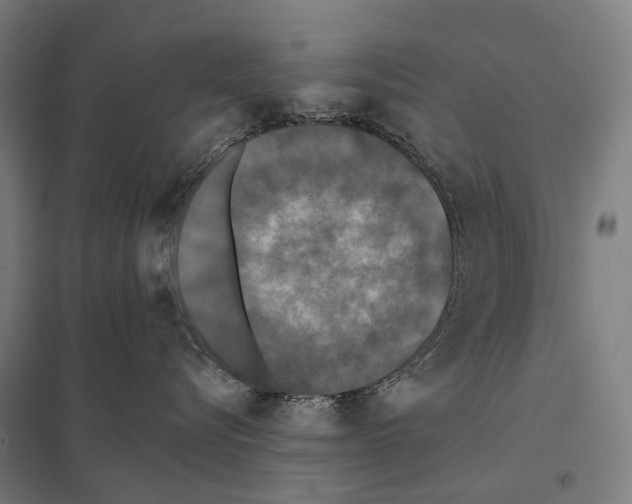 X0000097610576200803281016