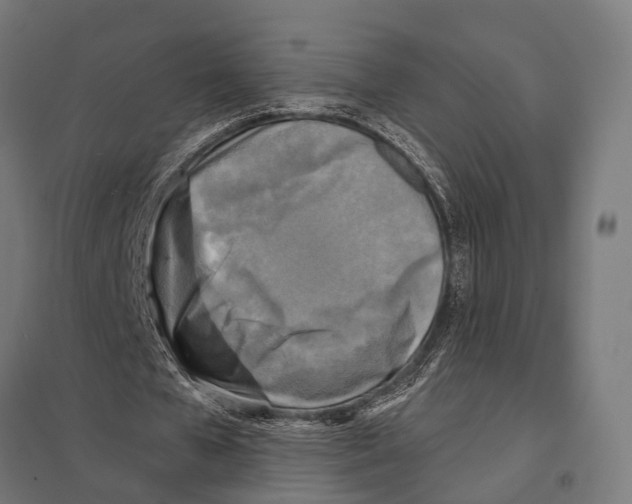 X0000097610577200803281016