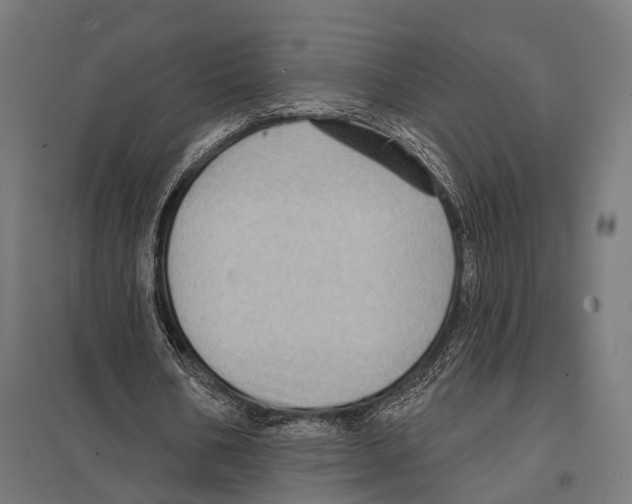 X0000097610578200803281016