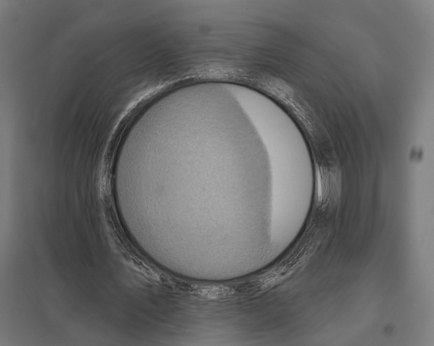 X0000097610579200803281015