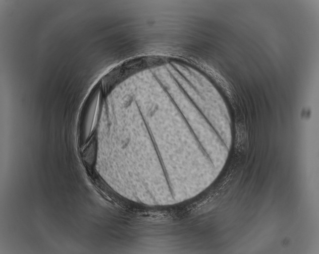 X0000097610580200803281015