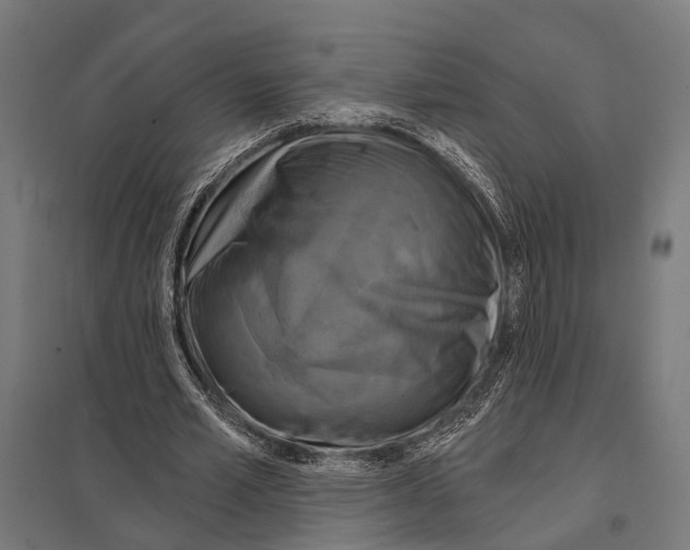 X0000097610581200803281015